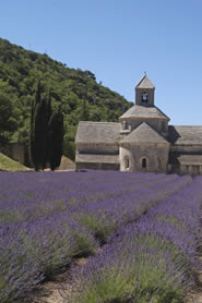 Abbaye de Sénanque - Luberon