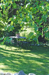 Table jardin - Chambre d'hotes proche d'Avignon